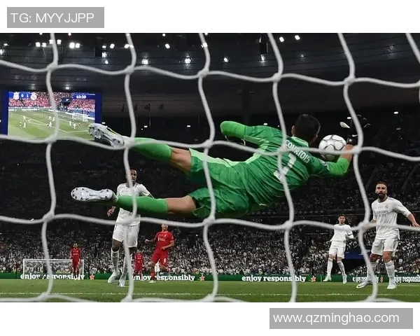 意大利与比利时精彩对决全场录像回放及精彩瞬间解析